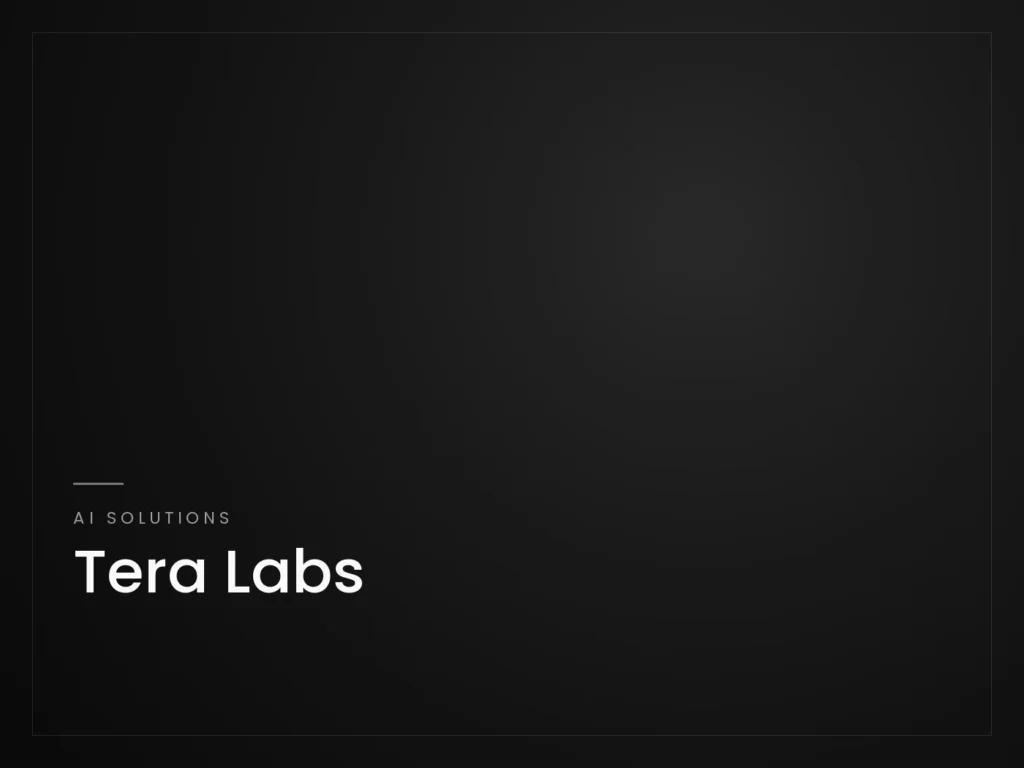 Tera Labs - AI Solutions project by Mahad Nasir