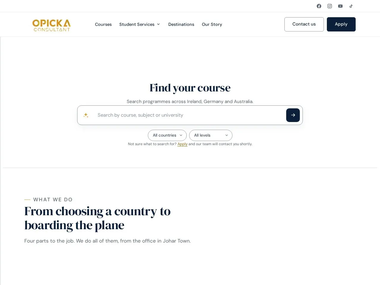 Opicka Consultants website screenshot